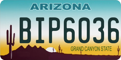 AZ license plate BIP6036