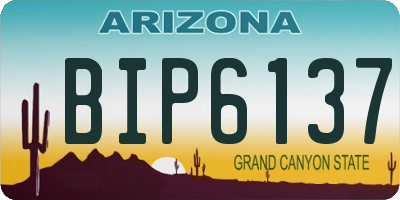 AZ license plate BIP6137