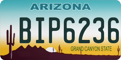 AZ license plate BIP6236
