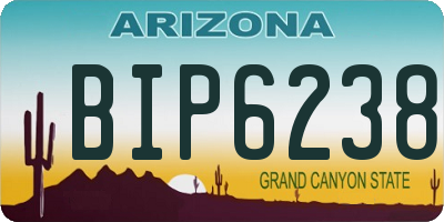 AZ license plate BIP6238