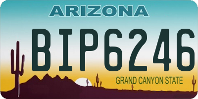 AZ license plate BIP6246