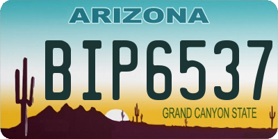 AZ license plate BIP6537