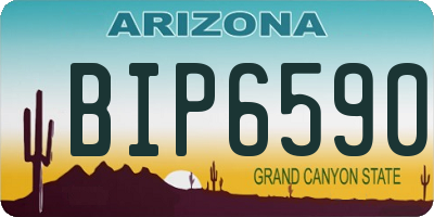 AZ license plate BIP6590