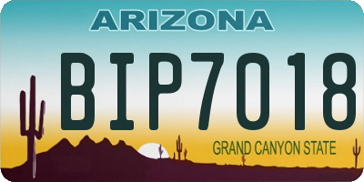 AZ license plate BIP7018