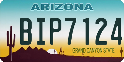 AZ license plate BIP7124