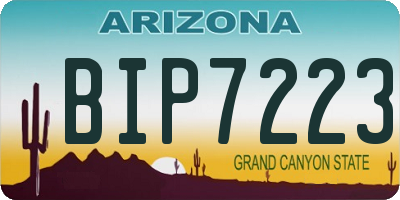 AZ license plate BIP7223