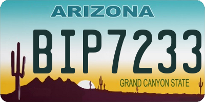 AZ license plate BIP7233