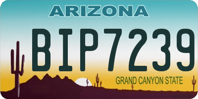 AZ license plate BIP7239