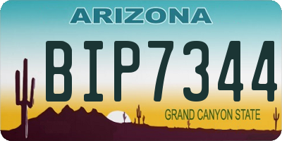 AZ license plate BIP7344