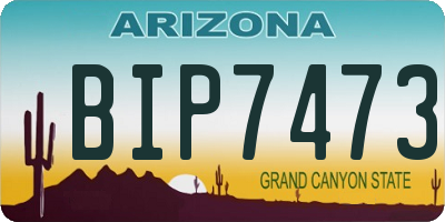 AZ license plate BIP7473