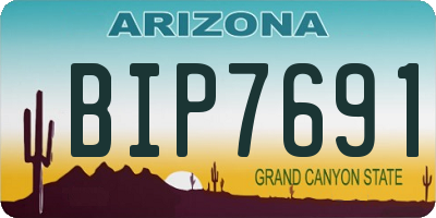 AZ license plate BIP7691