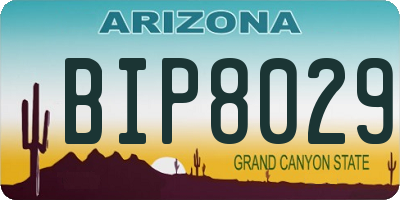 AZ license plate BIP8029