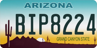 AZ license plate BIP8224