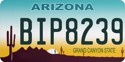 AZ license plate BIP8239