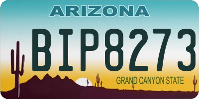 AZ license plate BIP8273