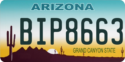 AZ license plate BIP8663