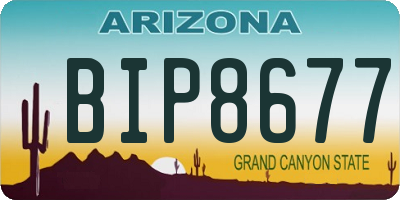 AZ license plate BIP8677