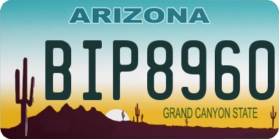 AZ license plate BIP8960
