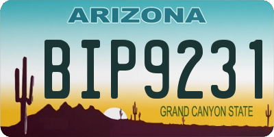 AZ license plate BIP9231