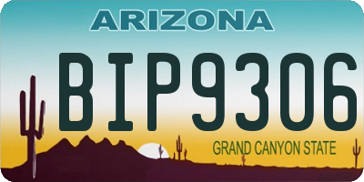 AZ license plate BIP9306