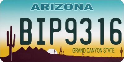 AZ license plate BIP9316