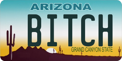 AZ license plate BITCH