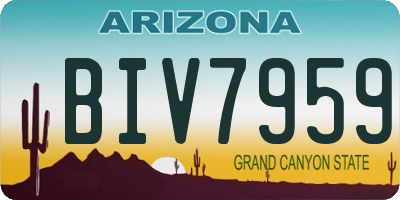 AZ license plate BIV7959