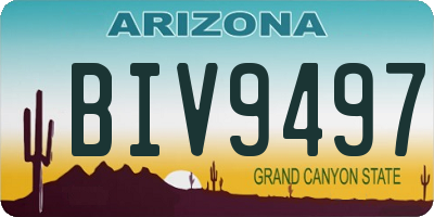 AZ license plate BIV9497