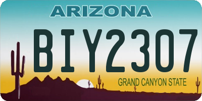 AZ license plate BIY2307