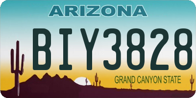 AZ license plate BIY3828