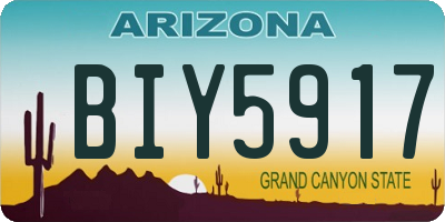 AZ license plate BIY5917