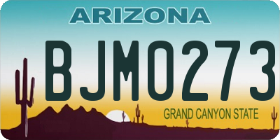 AZ license plate BJM0273