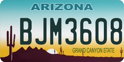 AZ license plate BJM3608