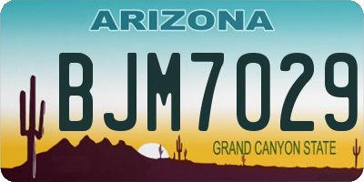 AZ license plate BJM7029