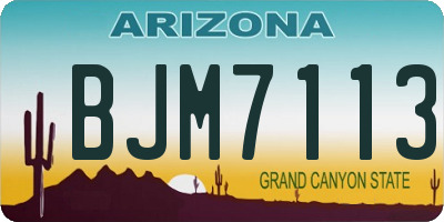 AZ license plate BJM7113