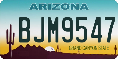 AZ license plate BJM9547