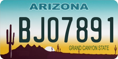AZ license plate BJO7891