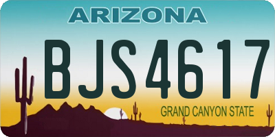 AZ license plate BJS4617