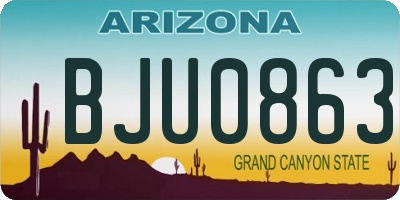AZ license plate BJU0863