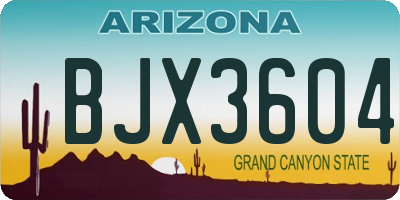 AZ license plate BJX3604