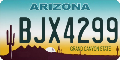 AZ license plate BJX4299