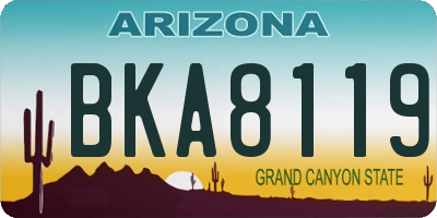 AZ license plate BKA8119