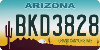 AZ license plate BKD3828