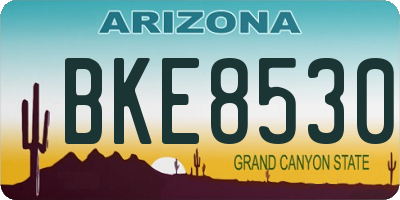 AZ license plate BKE8530