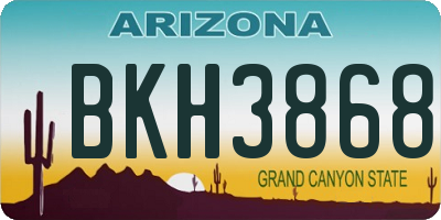 AZ license plate BKH3868