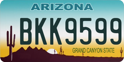 AZ license plate BKK9599