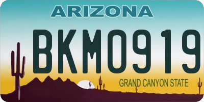 AZ license plate BKM0919