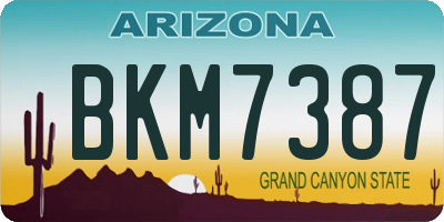 AZ license plate BKM7387