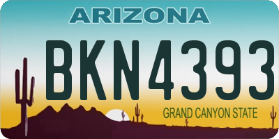 AZ license plate BKN4393