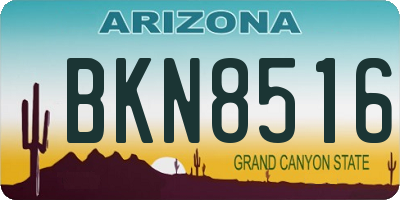 AZ license plate BKN8516